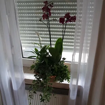 Ferienwohnung Holzapfel Appartamento *